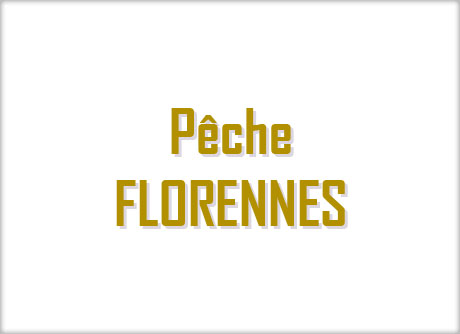 Vissen Florennes